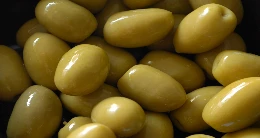  IV Salón de la Aceituna y Aceite de Oliva Peruano 2026