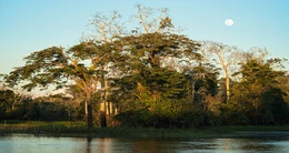IV Campeonato Internacional de Pesca Deportiva Sharamasho