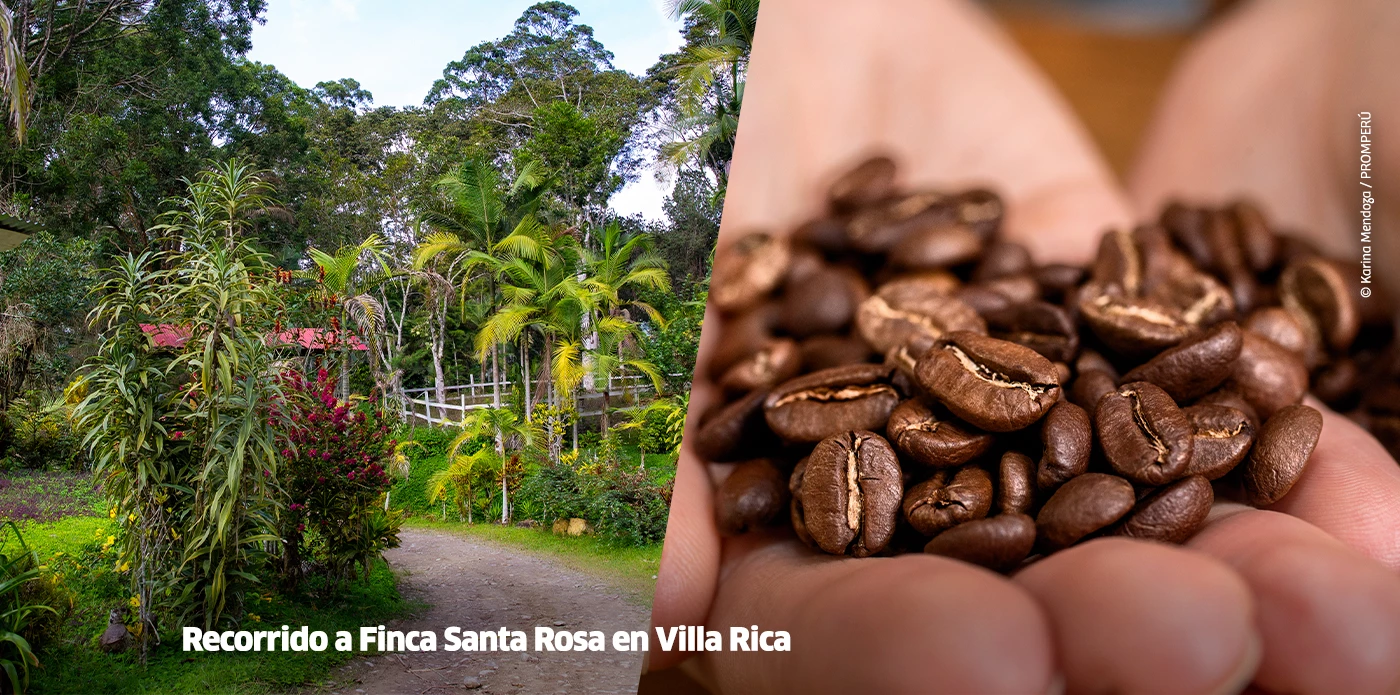 https://www.ytuqueplanes.com/imagenes/Villa Rica te espera con aroma a café: vive su festival más emblemático