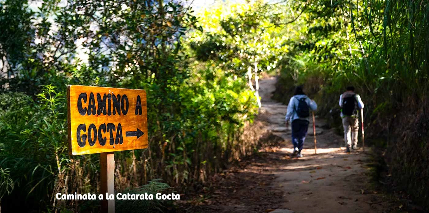https://www.ytuqueplanes.com/imagenes/Conoce la Catarata Gocta y deja que la naturaleza te sorprenda