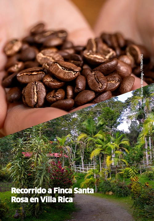https://www.ytuqueplanes.com/imagenes/Villa Rica te espera con aroma a café: vive su festival más emblemático