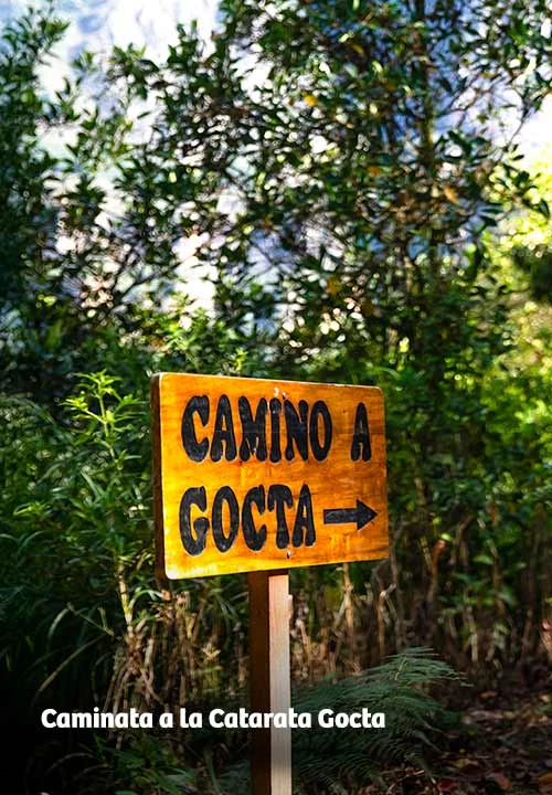 https://www.ytuqueplanes.com/imagenes/Conoce la Catarata Gocta y deja que la naturaleza te sorprenda