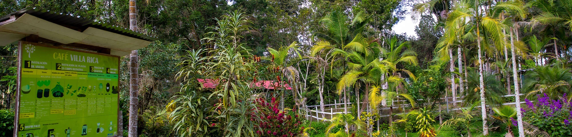 Expo Café Villa Rica 2025: aromatiza Lima con el café más fino del Perú