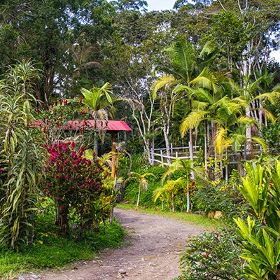 Descubre Chanchamayo: paraíso cafetalero y joya natural del Perú