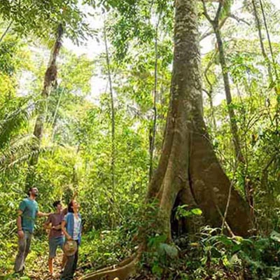 ¡La capital de la biodiversidad está de aniversario!