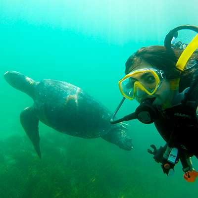 Tres razones para vivir la experiencia del nado con tortugas en El Ñuro