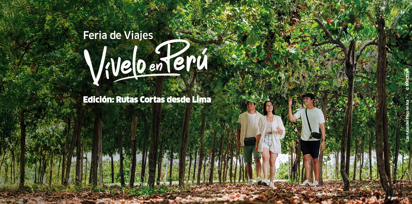 Planifica tu viaje a pocas horas de Lima