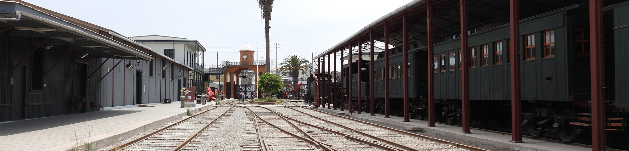 Servicio Ferroviario Tacna - Arica reanuda sus servicios