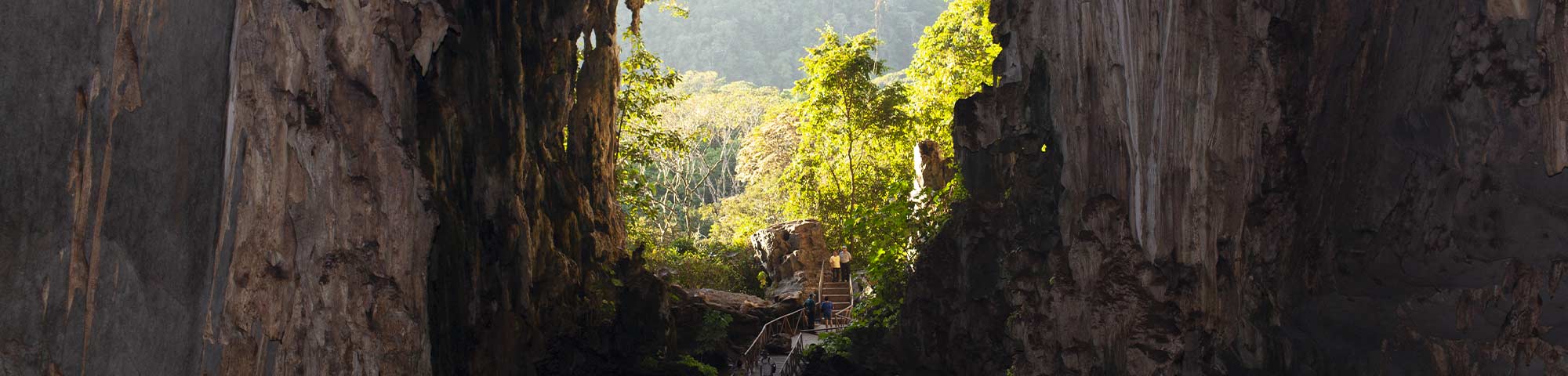  Parque Nacional Tingo María es reconocido entre las historias de turismo sostenible en el mundo