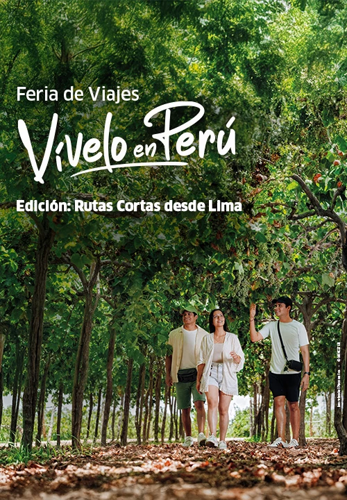 Planifica tu viaje a pocas horas de Lima