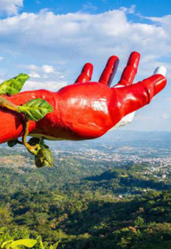 La Magia de Tarapoto