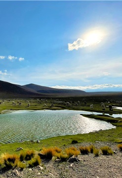 Arequipa mágica: Bienvenida al año 2024