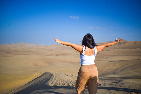 Full Day Paracas Ica