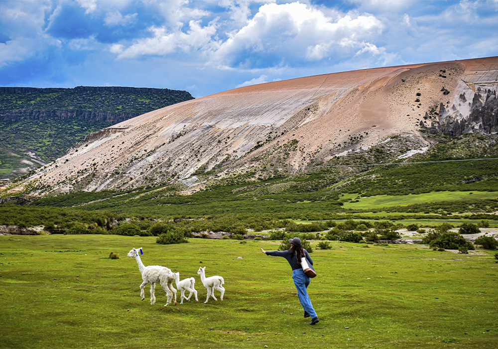 El Bosque de Piedras de Apurímac