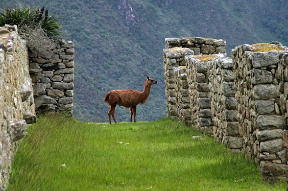 Cusco-Andinotours_10012023_1A-1.jpg