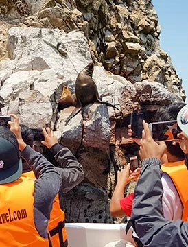 Full day Paracas - Ica aventurero 