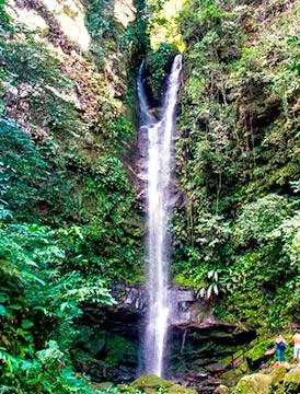 Moyobamba y Tarapoto