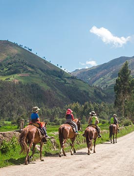 Pamuri Andes Lodge