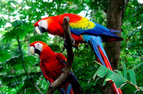 Loreto_Amazoncamp_11012023_1B.jpg