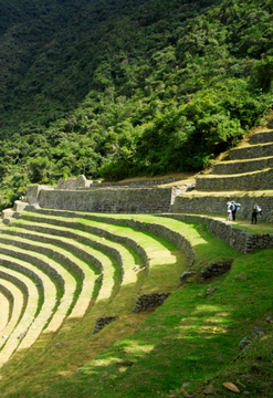 Camino Inca en servicio privado