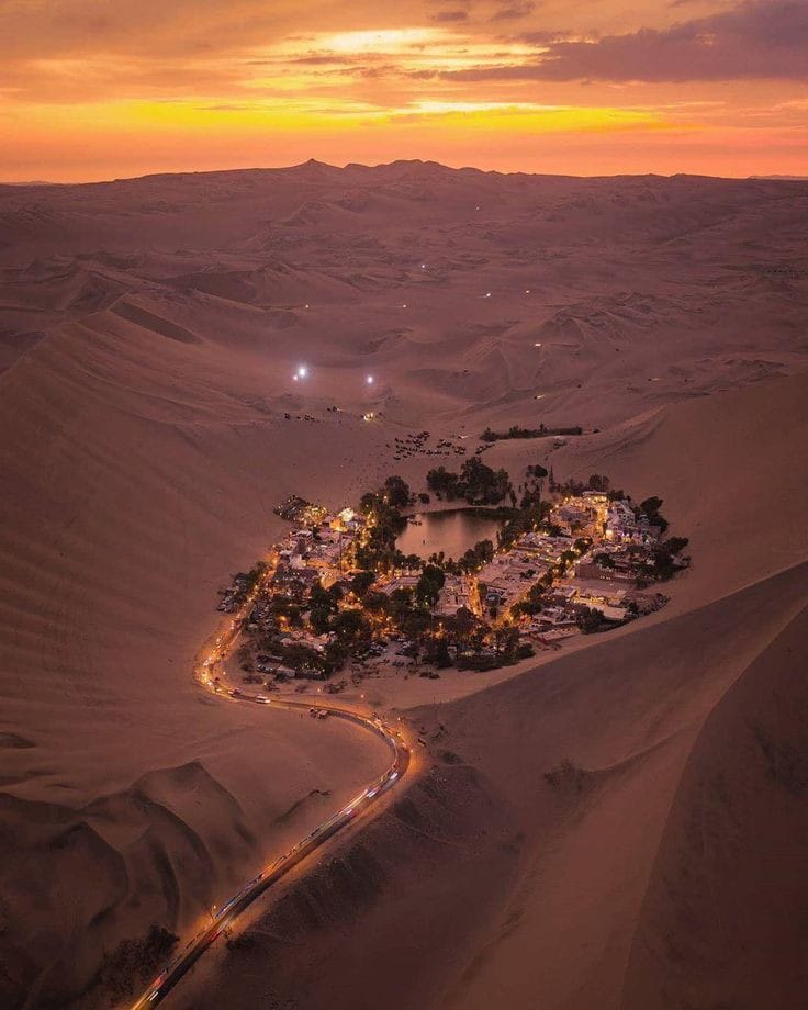 Full Day Paracas con Atardecer