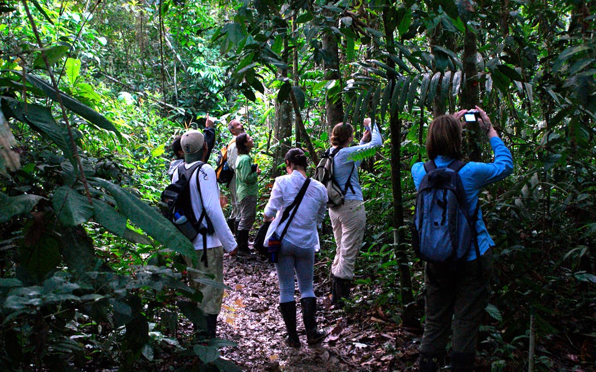 Tambopata_PVT_11012023_1B.jpg