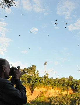 Rumbo a Tambopata: Aventura Pura