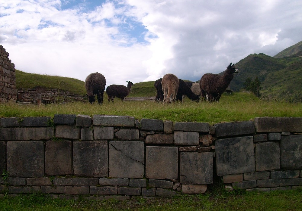 Turismo-Cultural-en-Chavín-de-Huantar_30032023_C_2.jpg