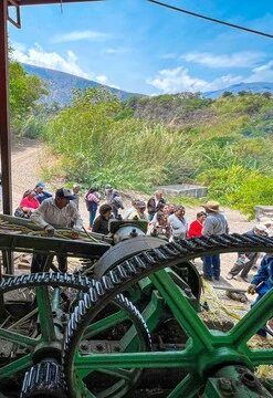 Disfruta la Caña tradicional