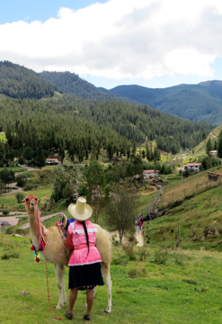 Descubre Cajamarca 