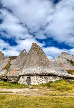 El enigmático bosque de piedras