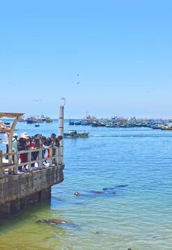 Una maravilla natural: Humedal de ite y playas