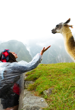 Machupicchu 1 día VIP