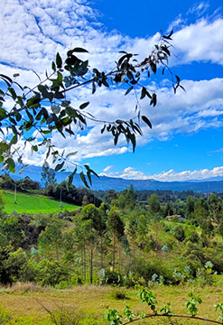 Majestuoso Valle de Condebamba