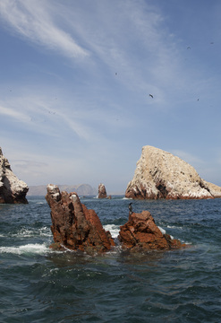 Naturaleza en Paracas y tradicion en Ica