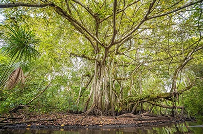 Alto Mayo " Naturaleza y Aventura"