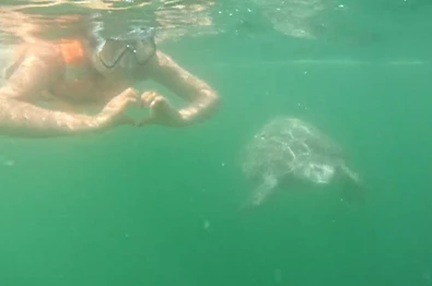 Naturaleza y Relajo en Máncora – Tour Avistamiento de Ballenas