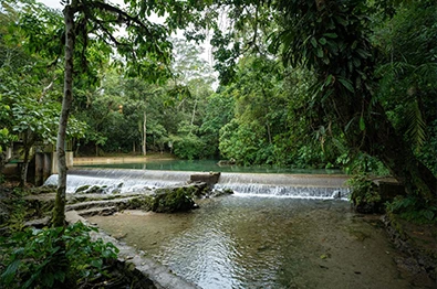 Alto Mayo " Naturaleza y Aventura"