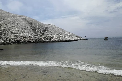Full Day Isla Blanca