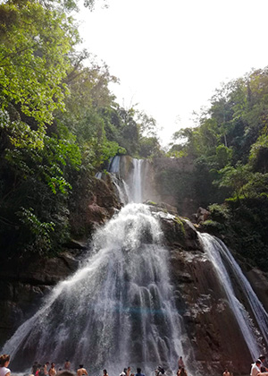 Selva central, naturaleza y diversión