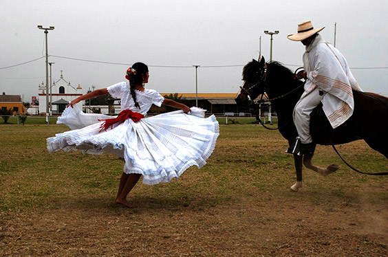 Caballos de Paso y Marinera - Moises Garcia