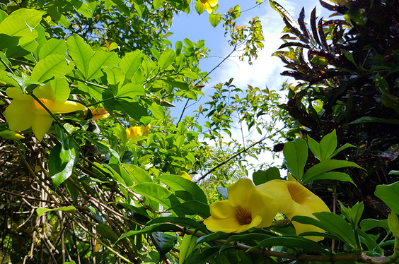 oxapampa-chanchamayo_26-1