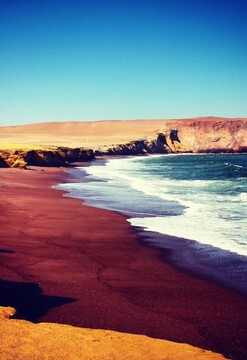 Full day Paracas