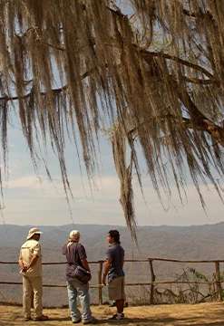 Cerros de Amotape, un tesoro natural