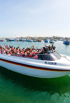 Paracas - Ica