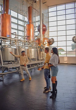 Ruta del Pisco Exclusiva: Haciendas y Viñedos