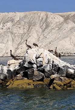 Chimbote "Tu  Gran Escape"