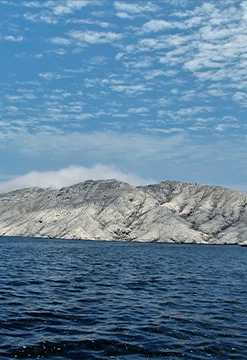 Full Day Isla Blanca