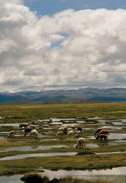 Reserva de Salinas Insuperable