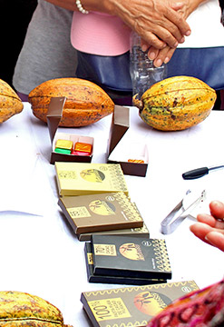 La ruta del cacao, fino aroma